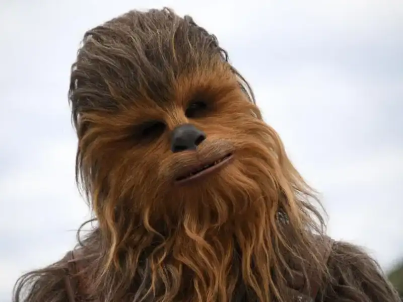 Chewbacca