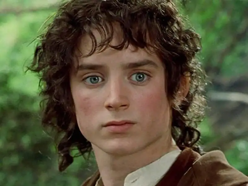 Frodo Baggins