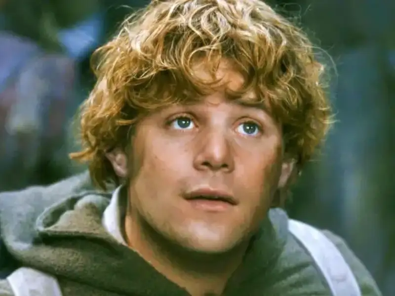 Samwise Gamgee